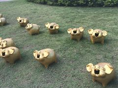 -清迈夜间动物园