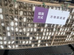-太湖雪蚕桑文化园