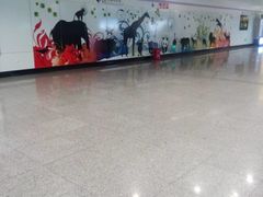 -上海动物园(地铁站)