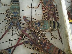 -南沙十九涌渔人码头-南门