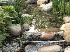 -活水公园