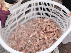 -花园菜市场