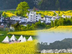 -婺源风景区