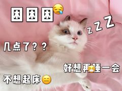-宠福鑫康馨动物医院·骨科·眼科