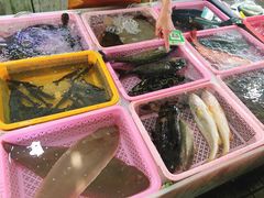 -大湾区中央湿地公园-十九涌