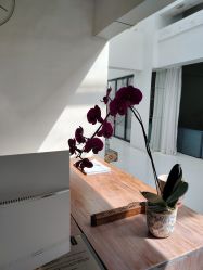 -无界瑜伽普拉提