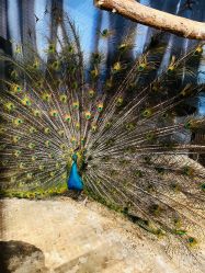 -酷嗒动物文化乐园(cutezoo西溪乐天城店)