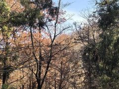 -波尔登森林公园