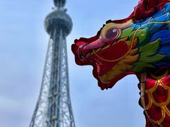 -文华公园(禅城区)