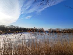 -大兴滨河森林公园