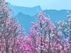 -九皇山景区