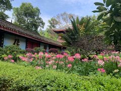 -峨眉山报国寺
