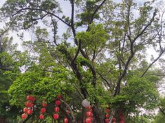 -荔湾湖公园