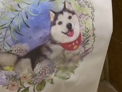 -Husky Go! 哈士奇体验馆·宠物咖啡厅狗咖