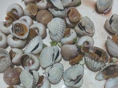 -拉完海鲜大排档(温岭店)