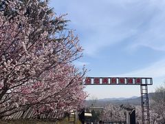 -北京鹫峰国家森林公园