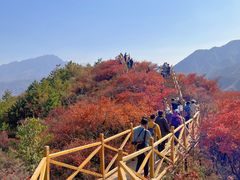 -水峪民俗村