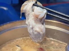 -千岛蚝高压锅生蚝·人参火锅(白云万达店)