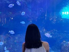 -沙沙哗啦海洋馆(华宇百花谷店)