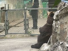 -成都动物园