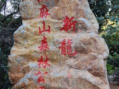 -黄埔油麻山森林公园