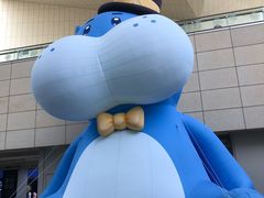 -盒马X会员店(王府井奥莱UP TOWN店)