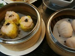 -糖朝(尖沙咀店)