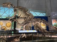 -湖南省地质博物馆