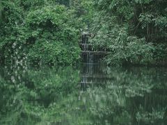 -龙坞茶村