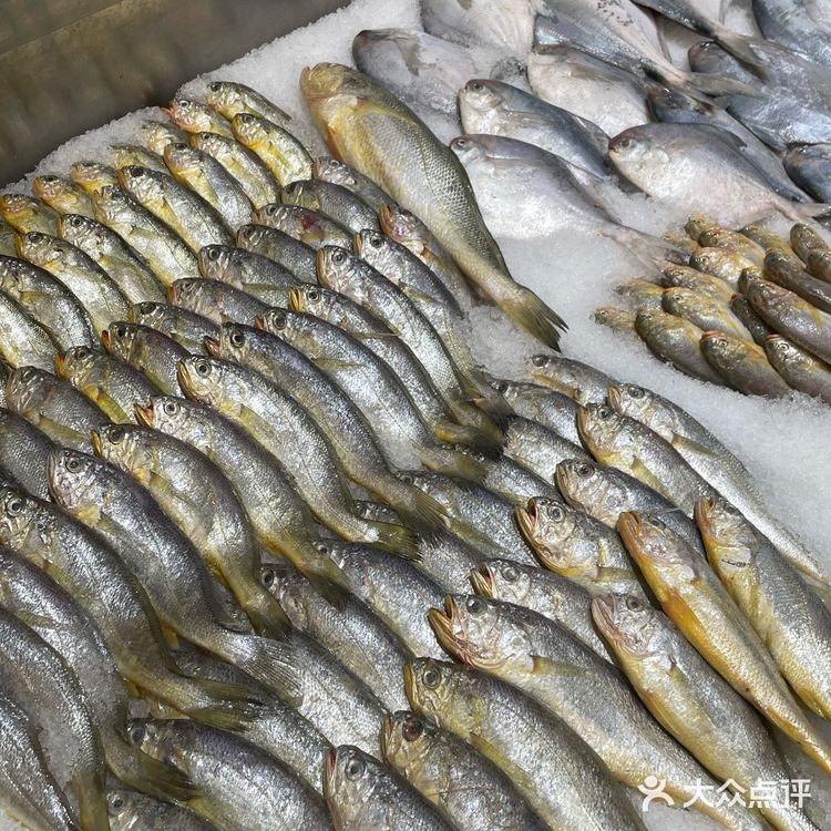 南京高端宴请|来自南通如东的海鲜盛宴 