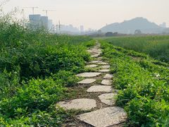 -光明小镇欢乐田园