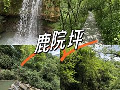 -鹿院坪生态旅游景区