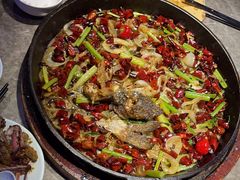 -老板恋上鱼(恒隆广场店)