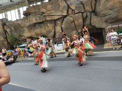 -杭州开元森泊度假乐园