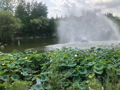 -梅林春晓花园餐厅