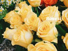 -爱尚幸福鲜花(上地实体店)