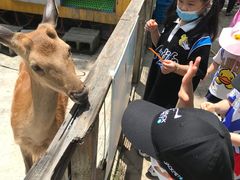 -前小桔亲子创意农场·草莓采摘·露营烧烤