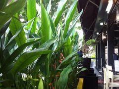 环境1-龙海鲜螃蟹王(宏茂桥店)