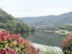 -桃花岭景区