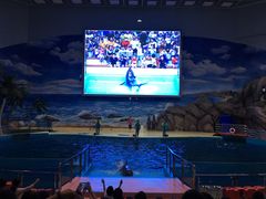 -福州罗源湾海洋世界旅游区