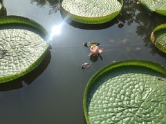 -浮庄