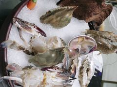 -红鼎豆捞·非遗鲍皇汤火锅(宝丰路店)