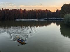 -上海海湾国家森林公园