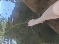 -凤翔首邑温泉度假村