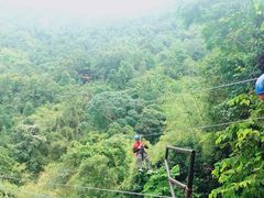 景点-清迈丛林飞跃 JungleFlight