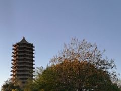 -博雅塔