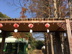 门面-长兴岛郊野公园农场食堂