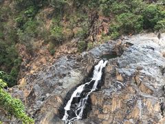 -热带雨林自然公园