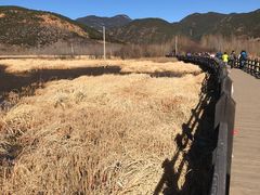 -泸沽湖国家级风景名胜区走婚桥