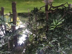 iphone_upload_pic-钓鱼台国宾馆